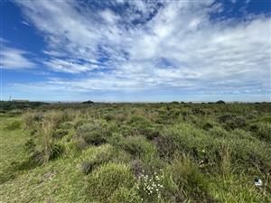 Commercial Stand For Sale in Fountains Business Park