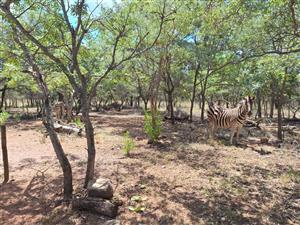 Vacant Land Residential For Sale in Koro Creek Golf Estate