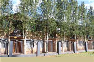 A very special bachelor's apartment