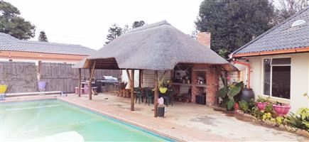Thatch, thatch repair, lapa repair, new lapa and swimming pools