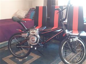 2000 bmx. Moped.   Briggs and straton classic motor.  110 cc 4 stroke.  3hp.