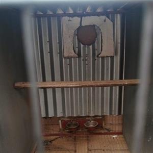 4 division bird cage