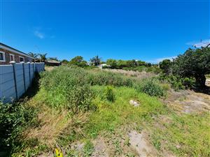 Level Stand in Aston Bay, Jeffreys Bay