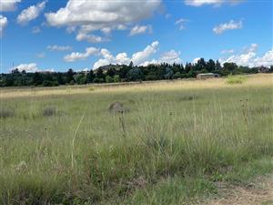 Vacant Land Agricultural For Sale in Blue Saddle Ranches