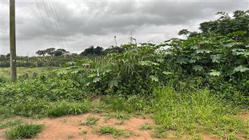 HELMSLEY COUNTRY ESTATE – NATURE | FAMILY | COUNTRY