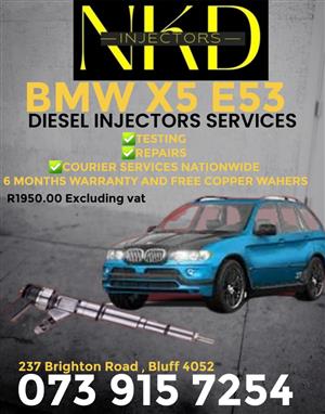 NO LONG WAITING TIMES  BMW X5 E53 INJECTORS 