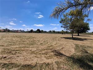 Prime Theresapark Property with Space, Style and Income Potential