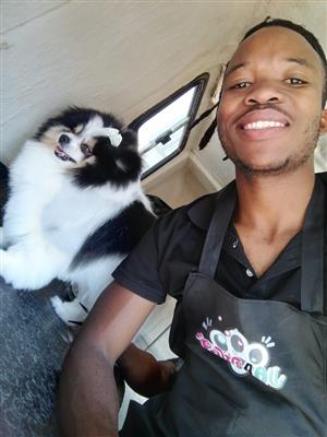 Paws 4 All Mobile Pet Grooming We come to you! • Full grooming • Wash & blow-dry