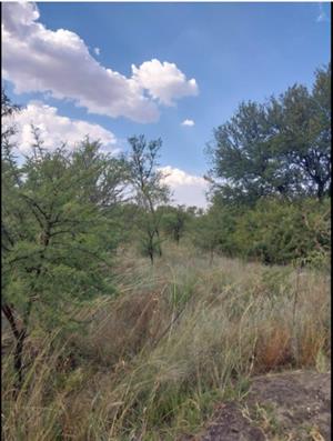Plot For Sale In Strydfontein