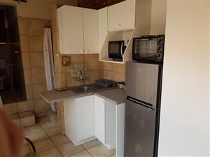 Garden flat to rent close to Belgium campus