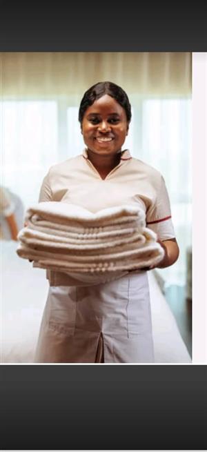Im looking for a job as a domestic worker