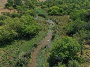 Cattle/Game Farm For Sale!