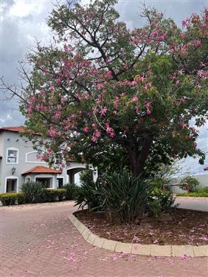 House For Sale in Brits Central