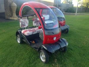 2016 NEW Shape golf cart