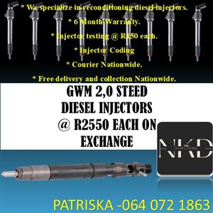 DIESEL INJECTORS FOR SALE ON STEEDS GWM 2,0 FOR SALE 