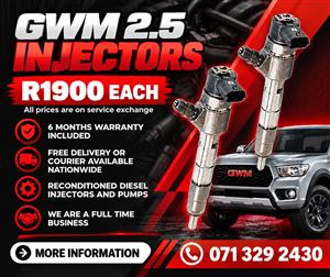 GWM 2.5 INJECTORS FOR SALE WITH WARRANTY 