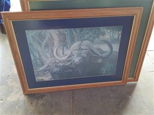 Big 5 Van Reenen Portraits buitifully framed 10 000 or closest offer