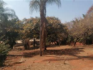 Vacant Land for Sale in Florauna