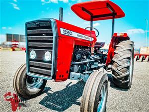 Massey Ferguson 290