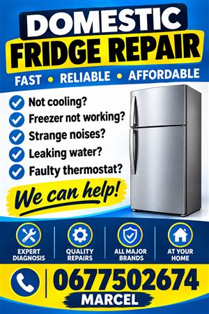 Domestic Fridge Repairs 