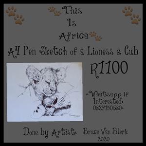 A4 Pen Sketch of a Lioness & Cub 