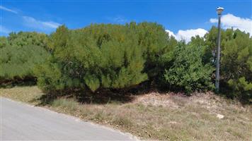 SOLE MANDATE - NEW TO MARKET - VACANT LAND PARADISE BEACH