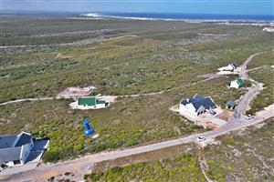 Where Fynbos Living Meets Incredible Views