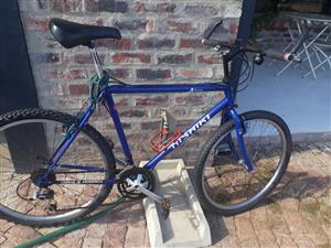 nishiki bikes for sale