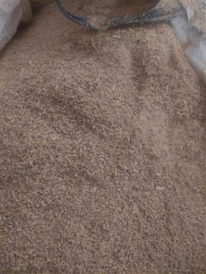 Mixed wood shavings for sale