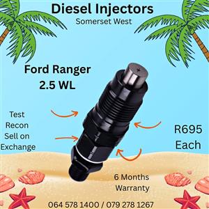 2.5 WL Ford Ranger diesel injectors