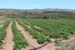 Versatile 324ha Farm in the Coombs valley – Ideal for mixed farming or convert into Game farm