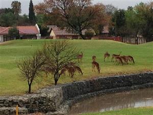VACANT STAND FOR SALE IN THORNBROOK GOLF ESTATE PRETORIA NORTH