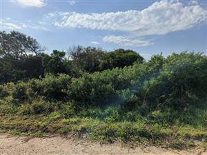 Go off the grid and be safe and smell the sea