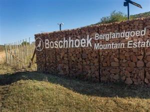 BOSCHHOEK MOUNTAIN ESTATE WHICH FORMS PART OF THE UNESCO’S BIOSPHERE IS SITUATED IN THE WATERBERG