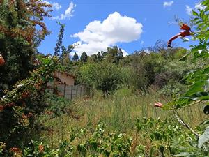 Not to be missed! Business zoned plot - Senekal | FreeState