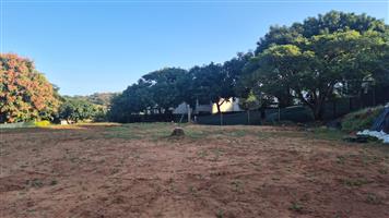 Prime Vacant Stand in Seaward Estate