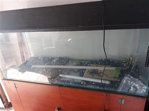 Complete 4ft tropical tank