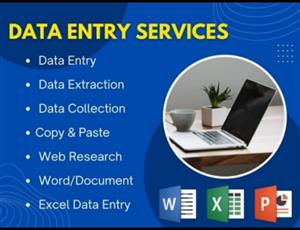 Professional Data Entry & Excel Specialist – Fast & Accurate