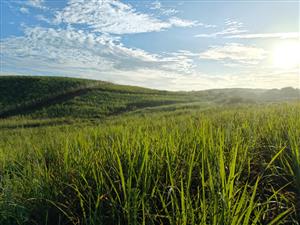 Prime Coastal Opportunity: Stand 2196, Seaton Estate, Ballito