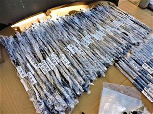 Mercedes benz Bonnet shocks