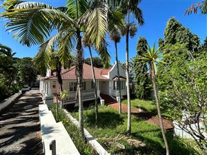 420sqm  Commercial Opportunity | Spacious Main Building and Outbuilding on Florida Road