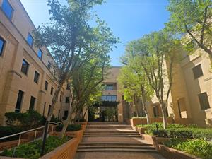 TO LET | A-Grade Standalone Offices | 2 835 m² | Nieuw Muckleneuk / Brooklyn, Pretoria