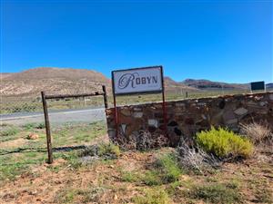 Karoo Farming Opportunity – Spacious Land in TouwsRiver.