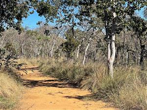 Farm for Sale in Vaalwater