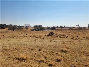 4.28-Hectare Property with Zoning Approvals, Infrastructure, and Income-Generating Potential