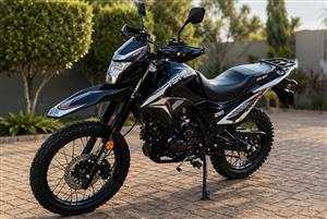 2026 Big Boy TSR 250cc