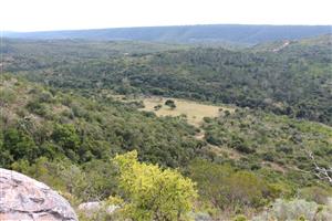 Versatile 318ha Farm Near Bathurst – Ideal for Livestock farming or convert into Game farm