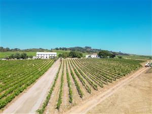 Stellenbosch living at its finest