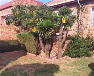 Simplex In Rooihuiskraal Centurion for Sale