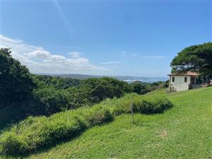 Overlook the dam and natural dune bush